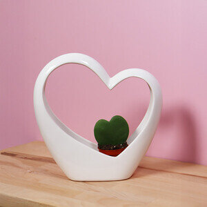 HOYA + COEUR
