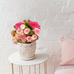 SWEET ROSE