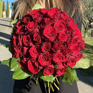 50 ROSES