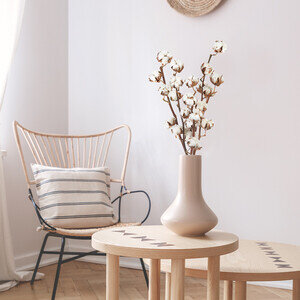 FLEURS DE COTON