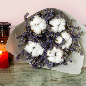 DOUCEUR DE PROVENCE
