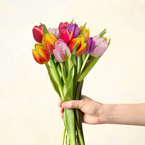 15 TULIPES
