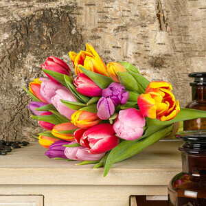 20 TULIPES
