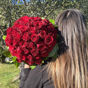70 ROSES