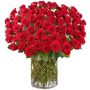 ROSE ELEGANCE