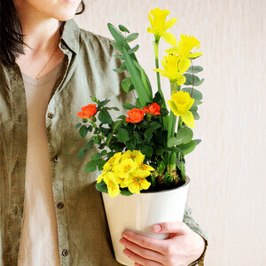 JARDIN PRINTANIER