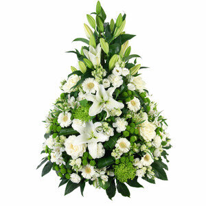 NOBLE HOMMAGE
