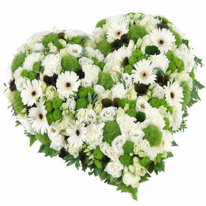 BLANC PUR