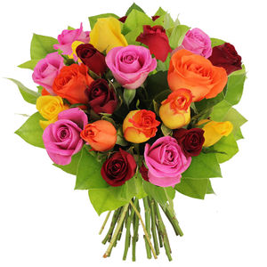 ROSES MULTICOLORES