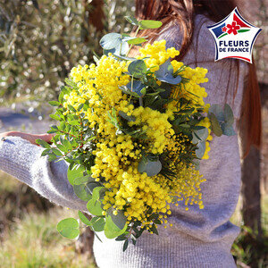 BOUQUET MIMOSA
