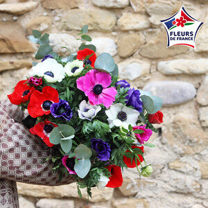 25 ANEMONES