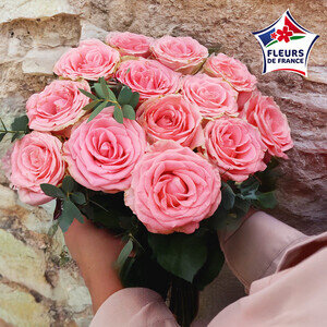 SUCRE ROSE