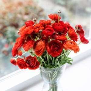 bouquet renoncules