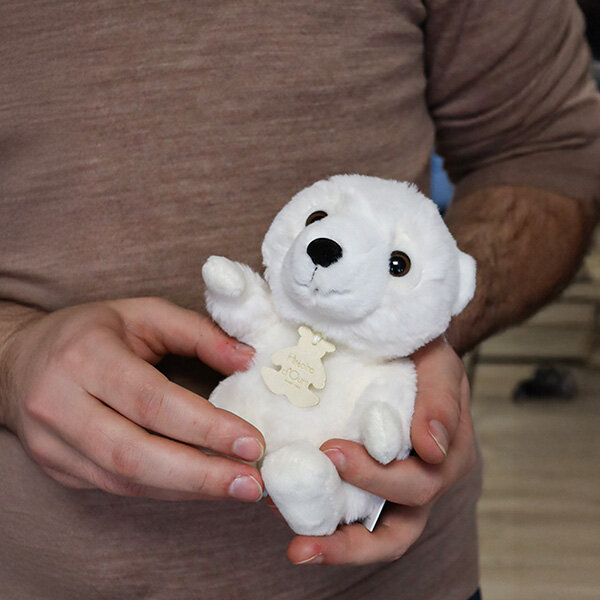Ours blanc