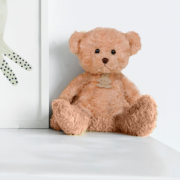 Ours brun