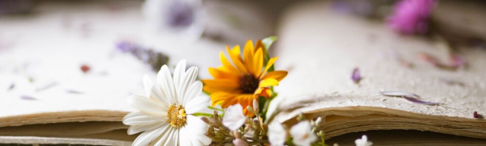 Langage des fleurs